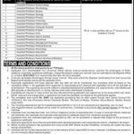 Jobs In Women University Mardan 2022