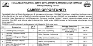 Faisalabad Industrial Estate Development and Management Company Jobs
