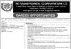 The Punjab Provincial Co-operative Bank Limited Jobs At Lahore