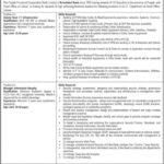 The Punjab Provincial Co-operative Bank Limited Jobs At Lahore
