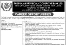 The Punjab Provincial Co-operative Bank Limited Jobs At Lahore