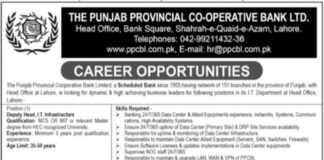 The Punjab Provincial Co-operative Bank Limited Jobs At Lahore