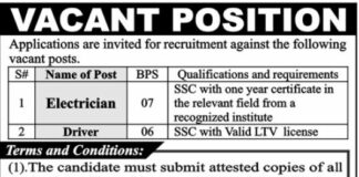 Jobs at Government Organization in KPK