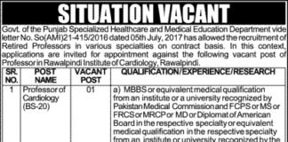 Jobs at Rawalpindi Institute of Cardiology