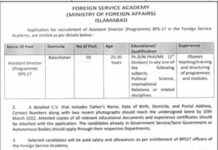 Career Opportunities in Foreign Service Academy