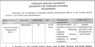 Career Opportunities in Foreign Service Academy
