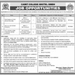 Job Opportunities at Cadet College Ghotki