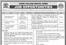 Job Opportunities at Cadet College Ghotki