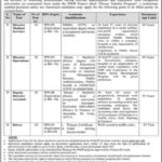 Poverty Alleviation and Social Safety Division Jobs 2022