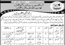 Wildlife and Fisheries Directorate AJK Jobs