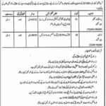 Jobs at Directorate General Industries, Prices, Weights and Measure Punjab