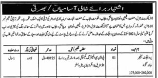 Jobs at Directorate General Industries, Prices, Weights and Measure Punjab