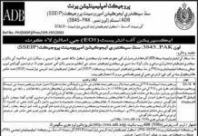 Project Implementation Unit PIU Jobs 2021