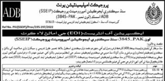Project Implementation Unit PIU Jobs 2021