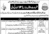 Punjab Institute of Language Art & Culture Jobs 2022