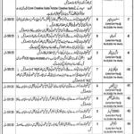 Punjab Institute of Language Art & Culture Jobs 2022