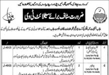 Punjab Institute of Language Art & Culture Jobs 2022