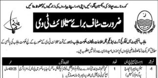 Punjab Institute of Language Art & Culture Jobs 2022