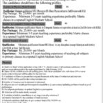 QDPS Wazirabad Jobs 2022