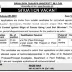 Bahauddin Zakariya University Multan BZU Jobs 2022