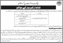 State Bank Of Pakistan Jobs 2021