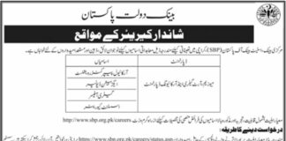State Bank Of Pakistan Jobs 2021