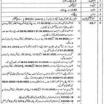 Jobs at Higher Education Department Punjab