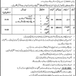 Bureau of Statistics Planning and Development Department Jobs 2022
