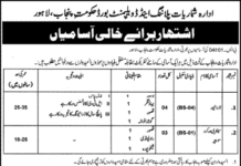 Bureau of Statistics Planning and Development Department Jobs 2022