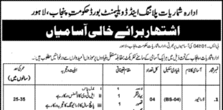Bureau of Statistics Planning and Development Department Jobs 2022