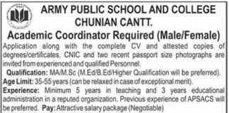 Army Public School Cantt Jobs 2022