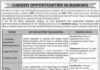 Bank of Punjab BOP Jobs 2022