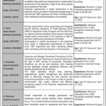 Bank of Punjab BOP Jobs 2022