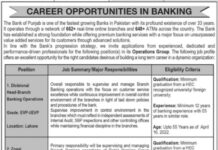 Bank of Punjab BOP Jobs 2022