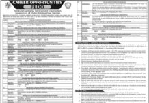 Jobs at Pakhtunkhwa Energy Development Organization