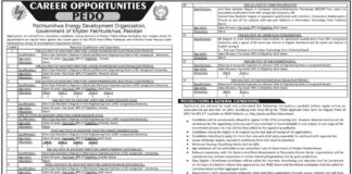Jobs at Pakhtunkhwa Energy Development Organization