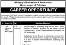 Job Opportunity At Ministry Of Industries And Production Islamabad
