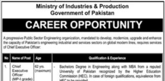 Job Opportunity At Ministry Of Industries And Production Islamabad