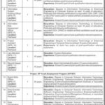 Job Opportunity At KPK Information Technology Board KPITB