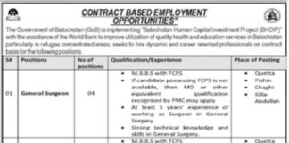 Job Announced At Baluchistan Human Capital Investment Project