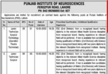 Jobs At Punjab Institute of Neurosciences PINS Lahore