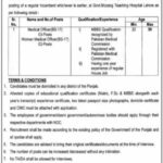 Jobs At Government Mozang Teaching Hospital Lahore