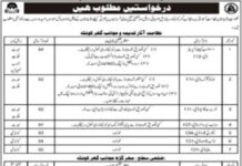 Employment Opportunity At Government Organization Balochistan