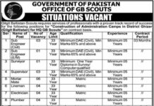 Faculty Staff Jobs At GB Scouts 2022