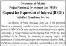 Job Opportunity At Planning & Development