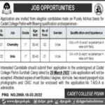 Job Announcement At Cadet College