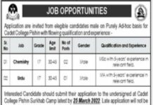 Job Announcement At Cadet College