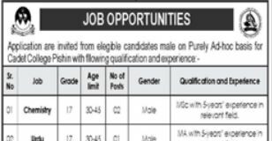 Job Announcement At Cadet College