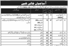 Jobs At CMH Rawalpindi