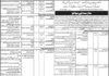 Job Opportunity At Government Organization Sindh